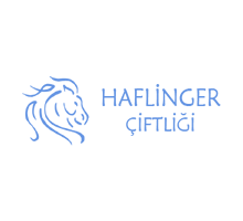 Haflinger Çiftliği